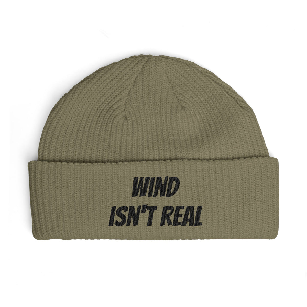Wind Isn't Real Beanie